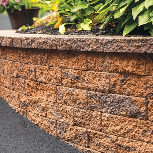 Walls - 5" Colonial Wall - Golden Brown