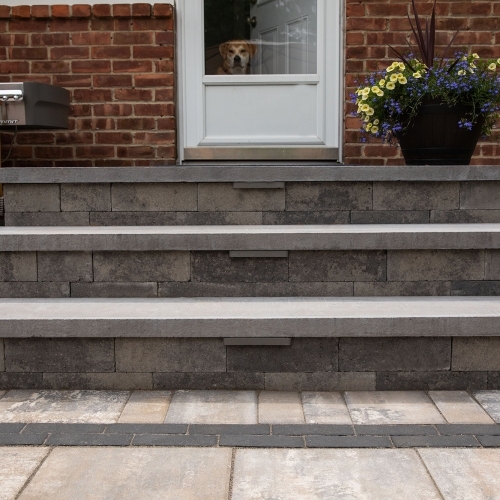 Steps - Thermal Finish Treads - Bluestone
