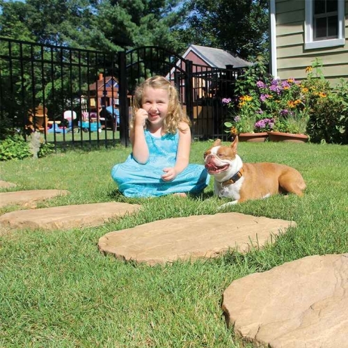 Steps - Stepping Stones - Autumn Cotswold