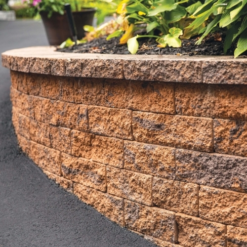 Walls - 5" Colonial Wall - Golden Brown