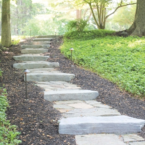 Steps - Irregular Steps - Bluestone