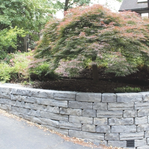 Walls - Kodah Wall  - York Brown