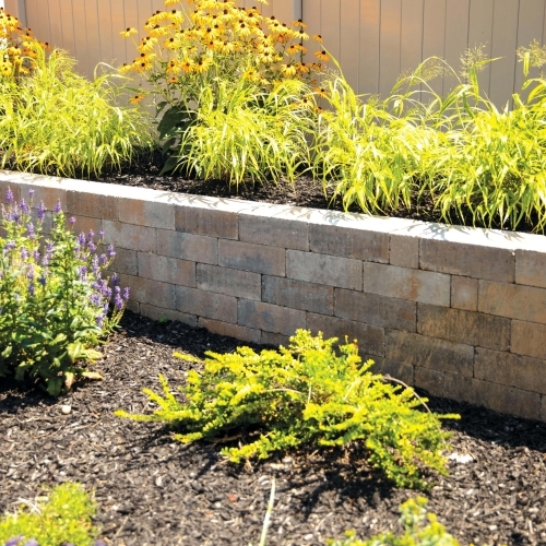 Walls - Verona Wall - Westchester Blend