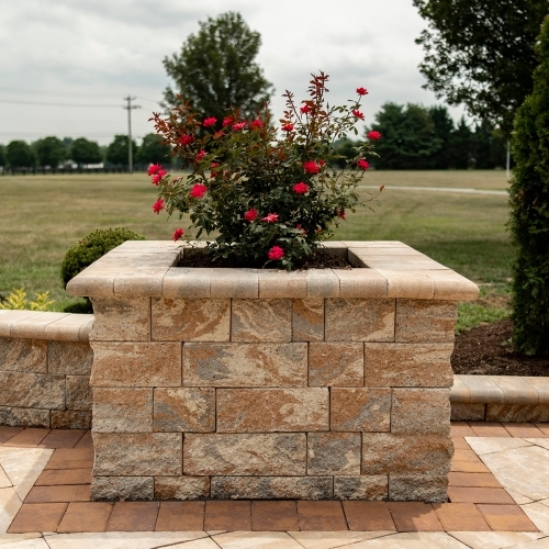 Walls - 6" Colonial Wall - Chesapeake Blend