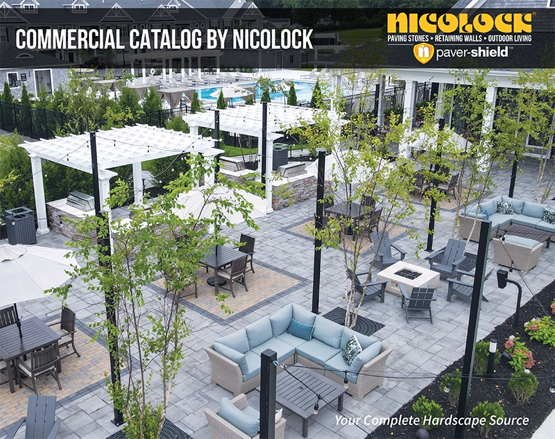 Catalogs in App