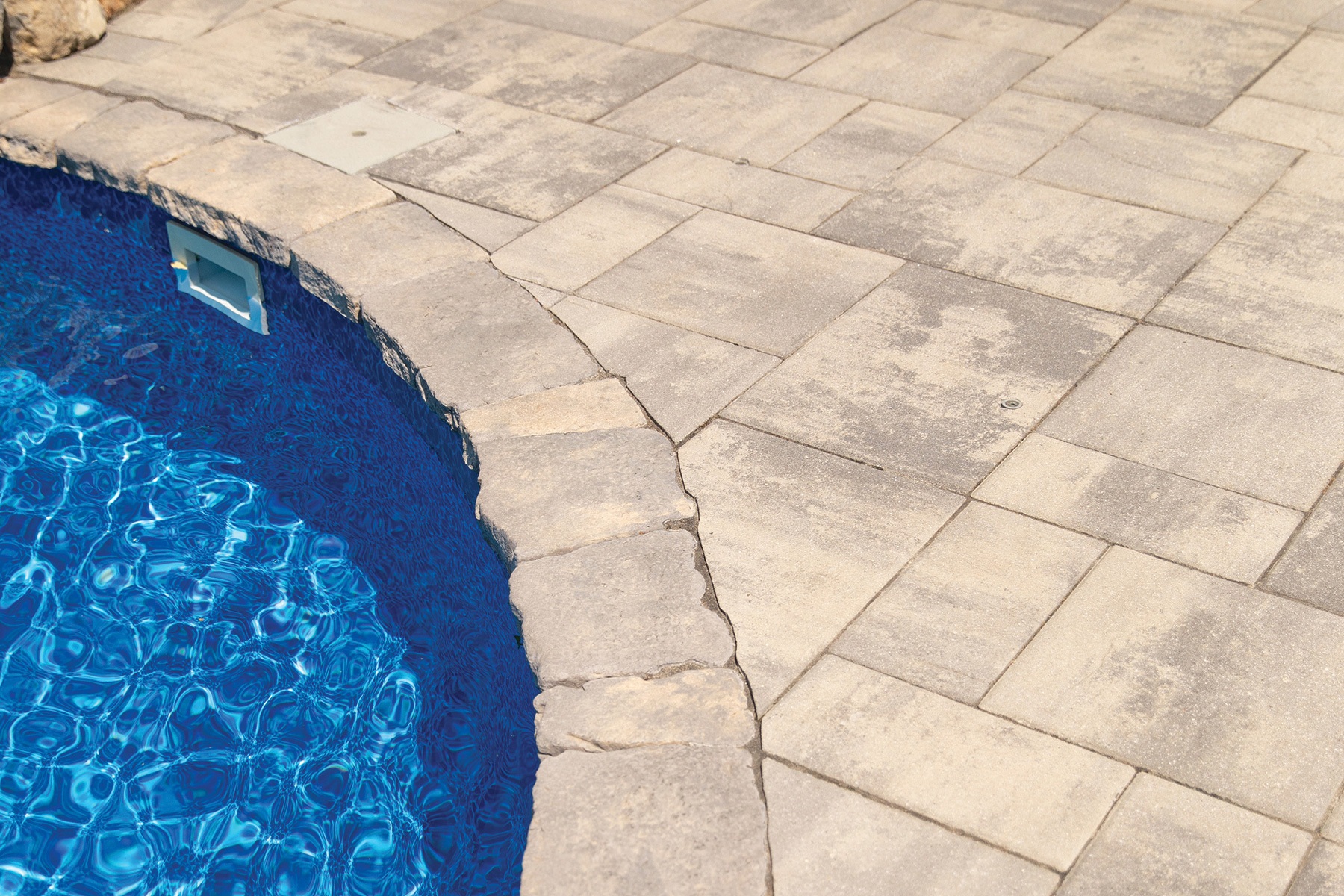 Pool Decks - Belvedere Coping - York Brown