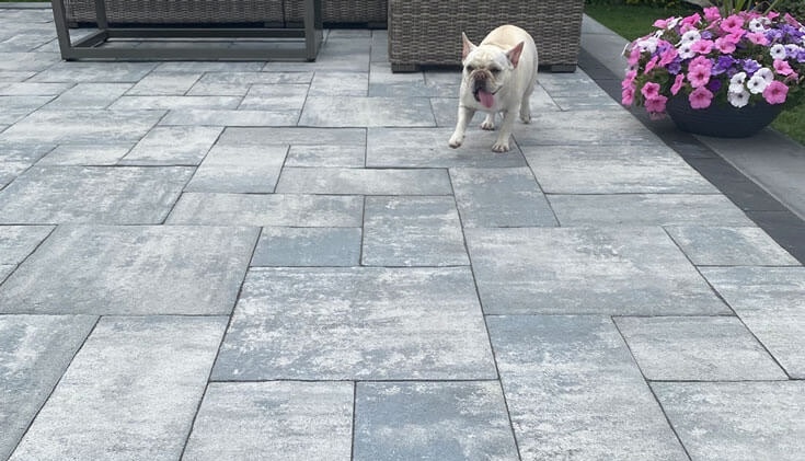 Make the Most of Every Square Foot with Pavers in Backyard Layouts