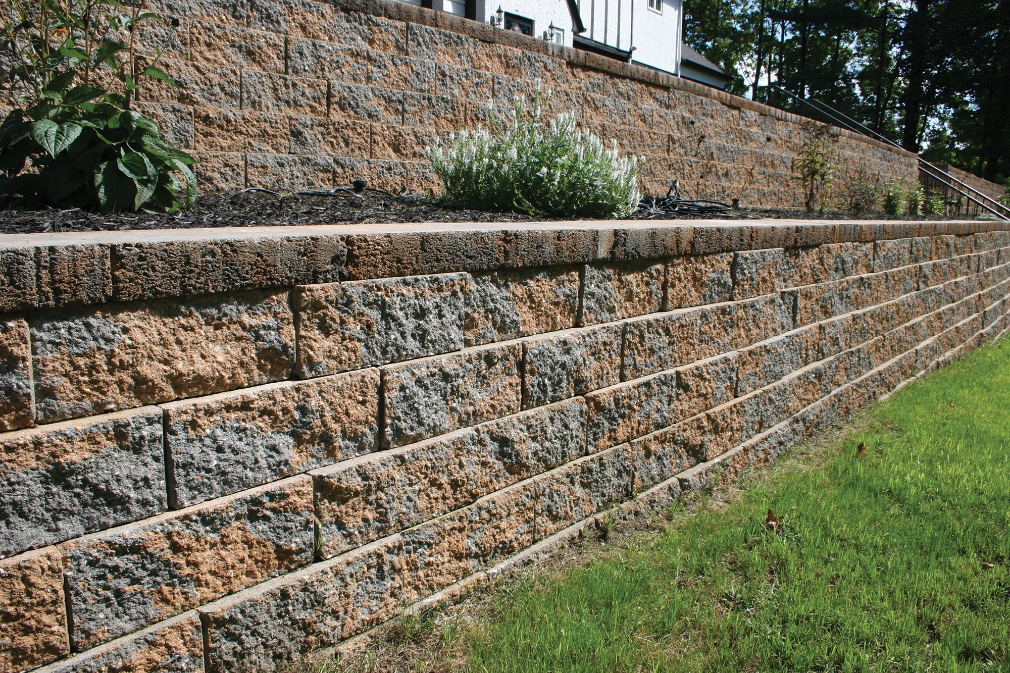 Walls - Firma Wall - Adobe