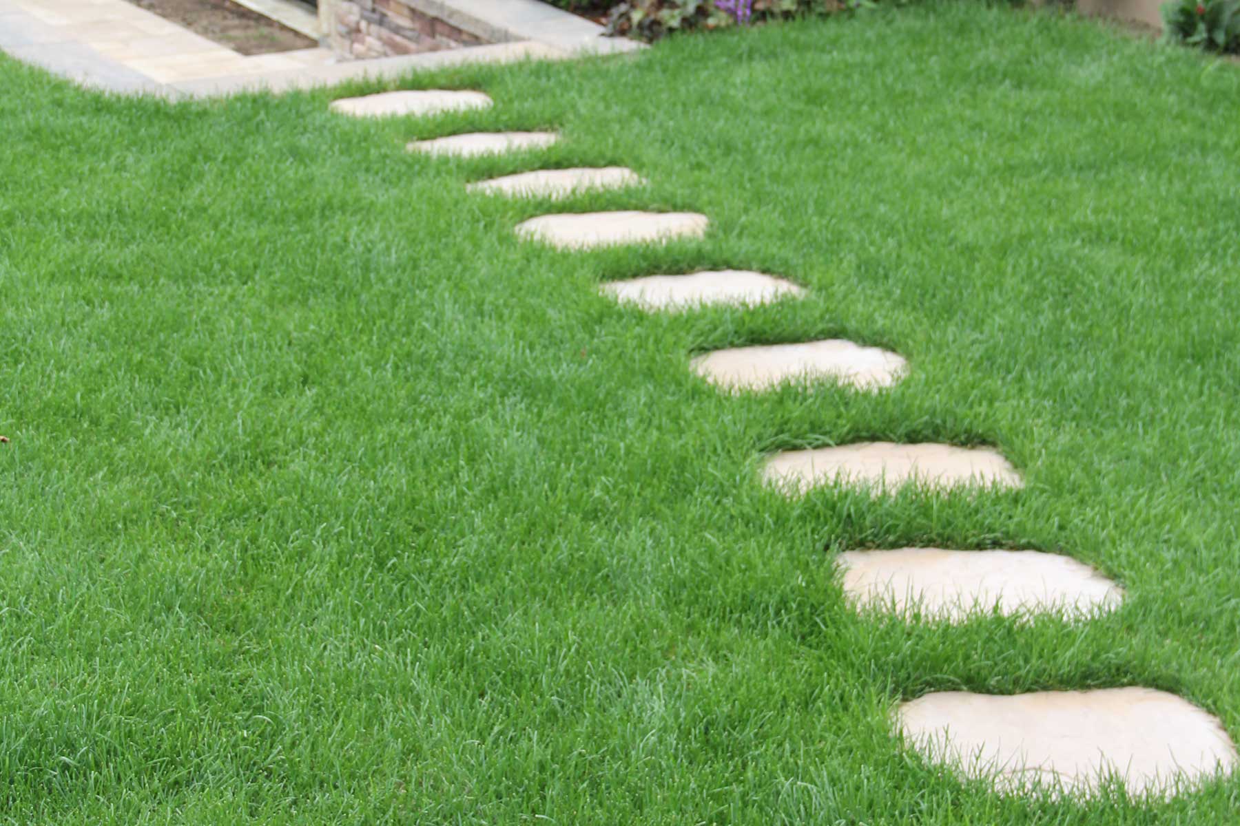Natural stone stepping stones creating a curved walkway through a green garden with grass and small plants.