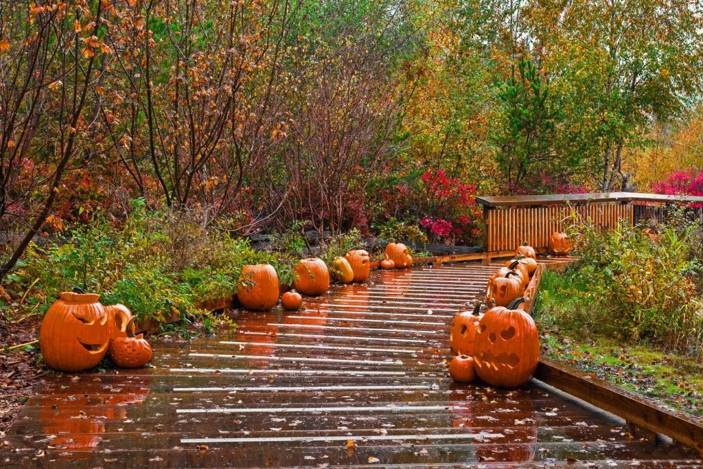 Inspiration for Seasonal Style: Bring Your Halloween Walkway Ideas to Life