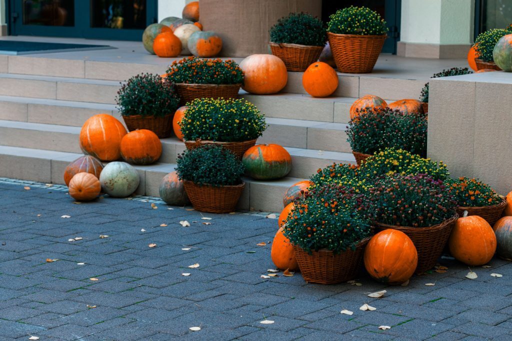 Your Seasonal Success Guide: Tips for Every Homeowner