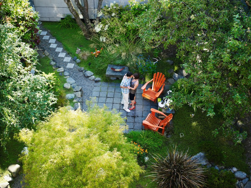 A Clear Next Step for Your Backyard Plans