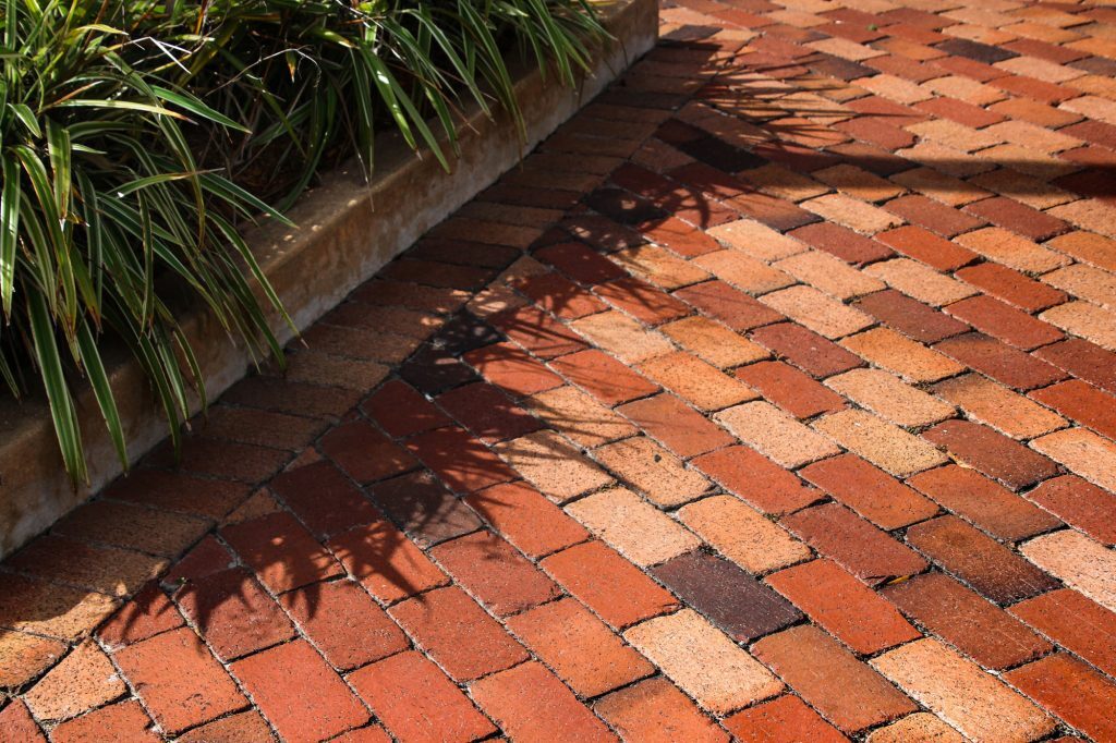 Brick pathway in Florida