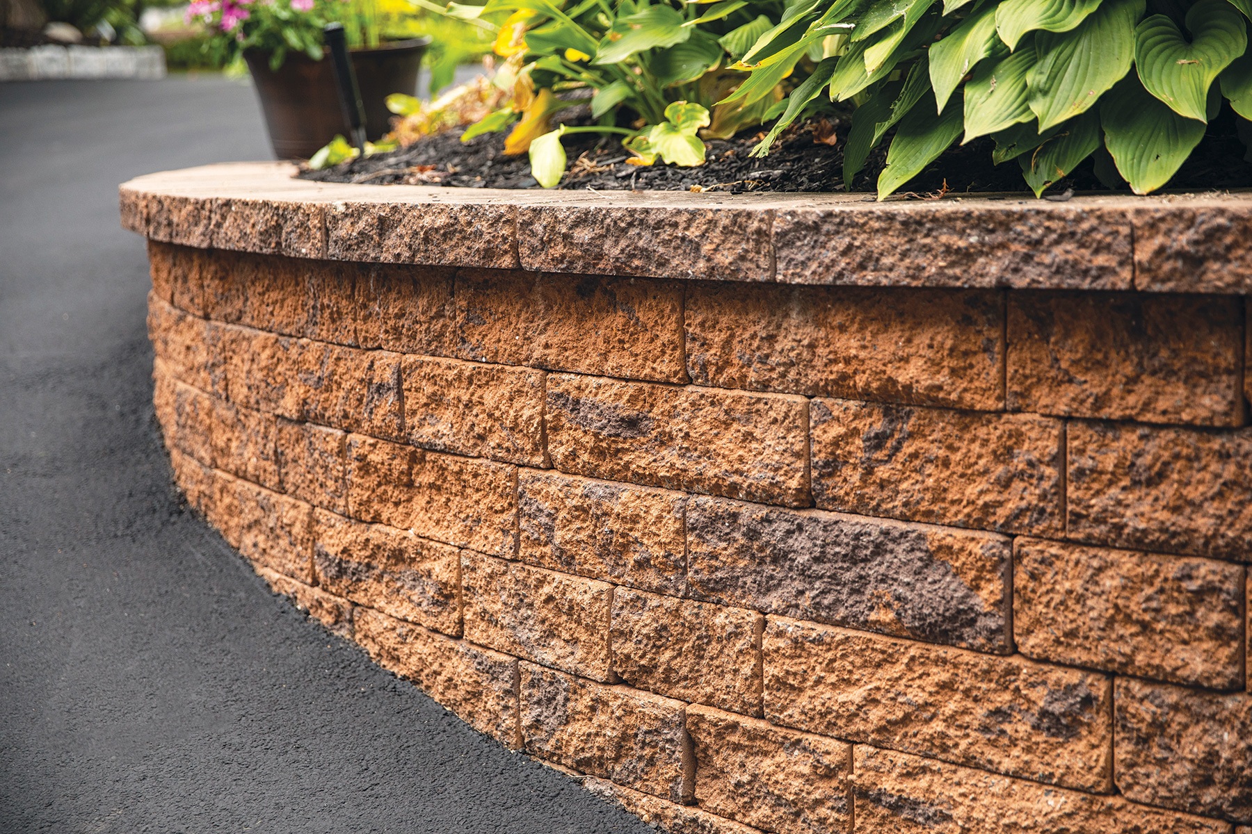 Walls - 5" Colonial Wall - Golden Brown