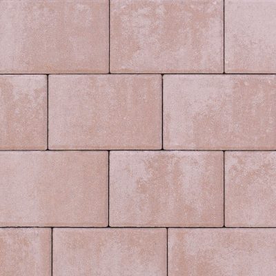 Image for choice number 29